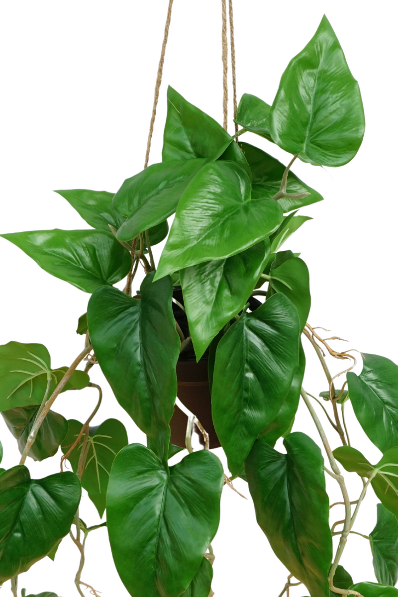 Anthurium Kunst Hangplant 95cm