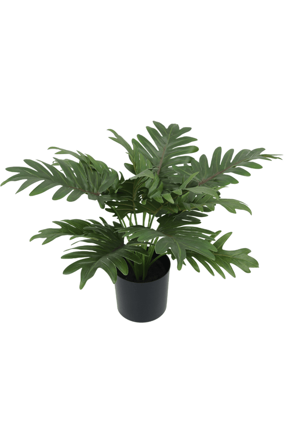 Philodendron Kunstplant 40cm