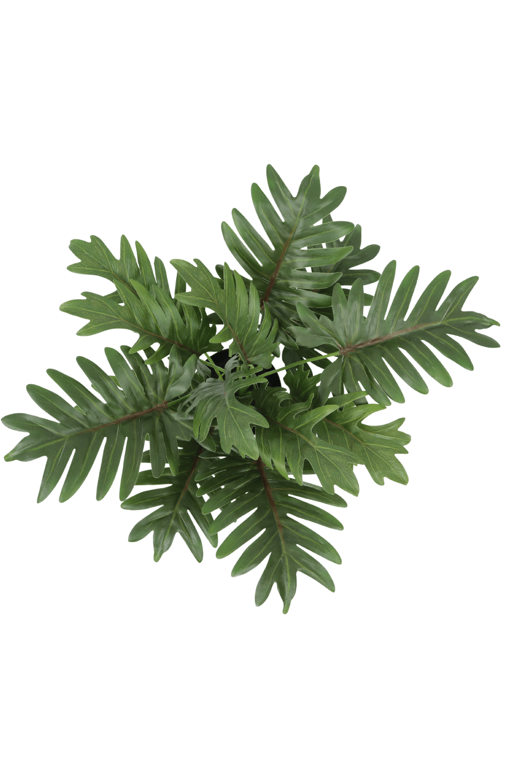 bovenaanzicht Philodendron Kunstplant 40cm