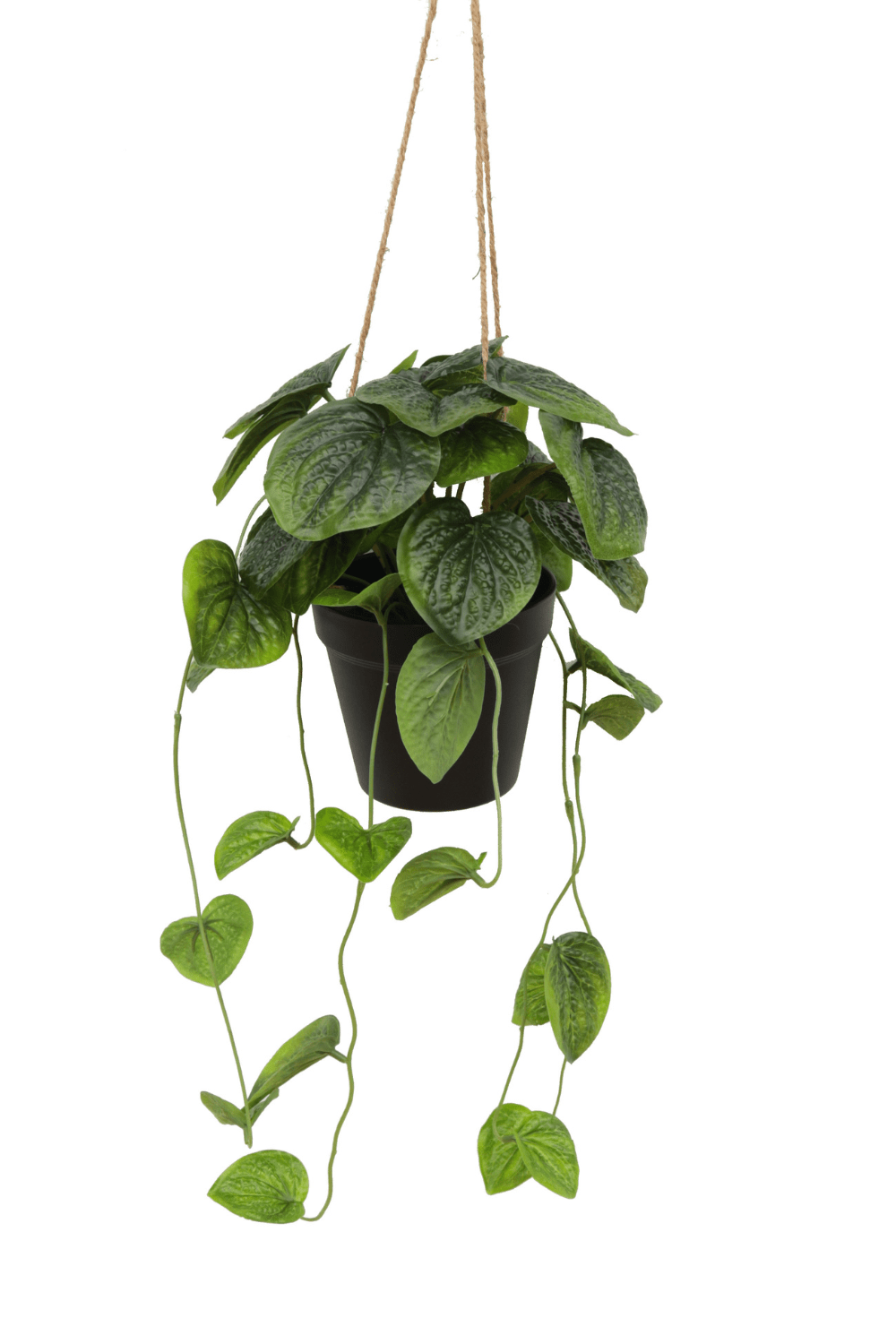 Piper Kunst Hangplant 65cm