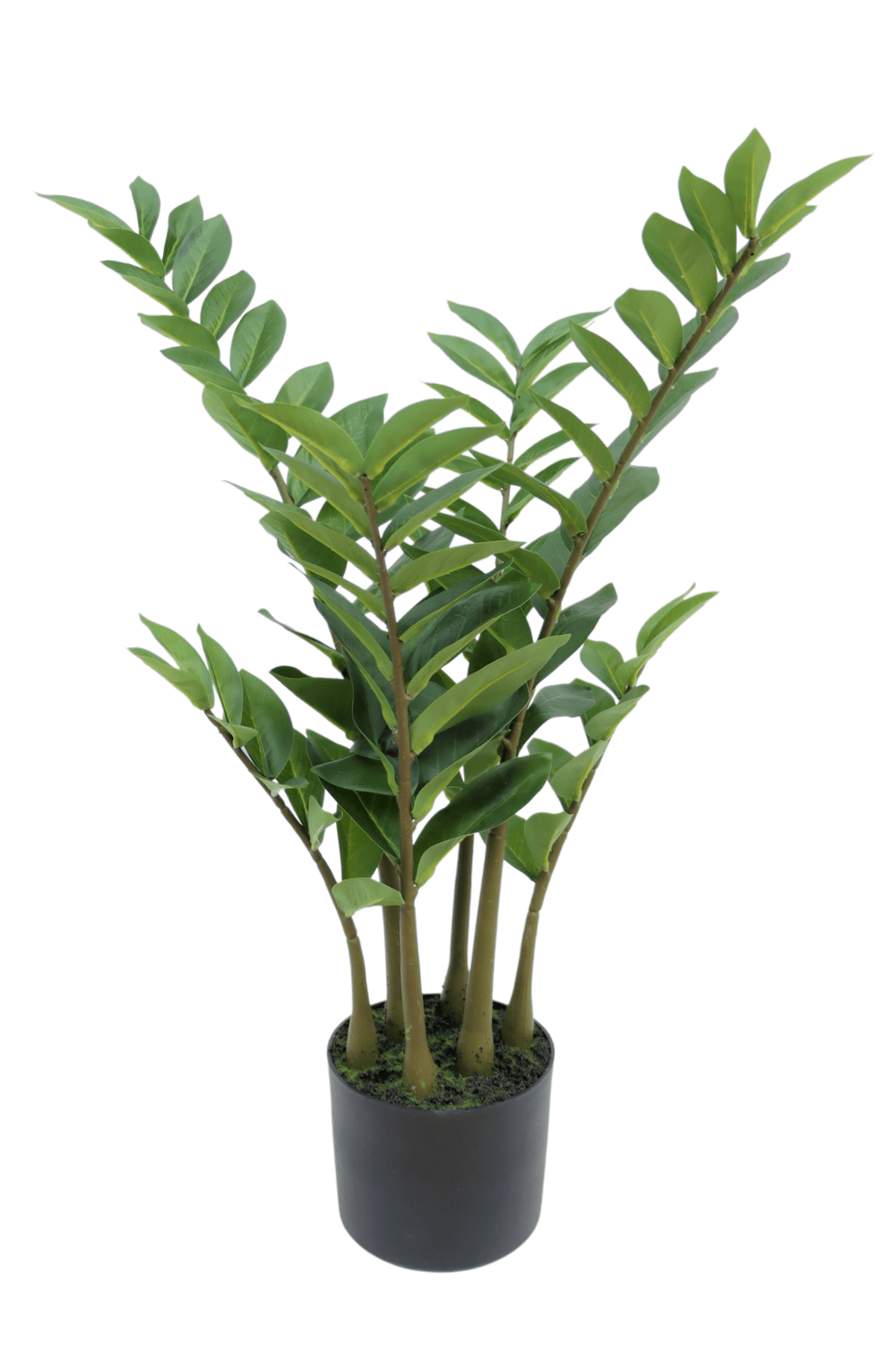 Zamioculcas Kunstplant 75cm