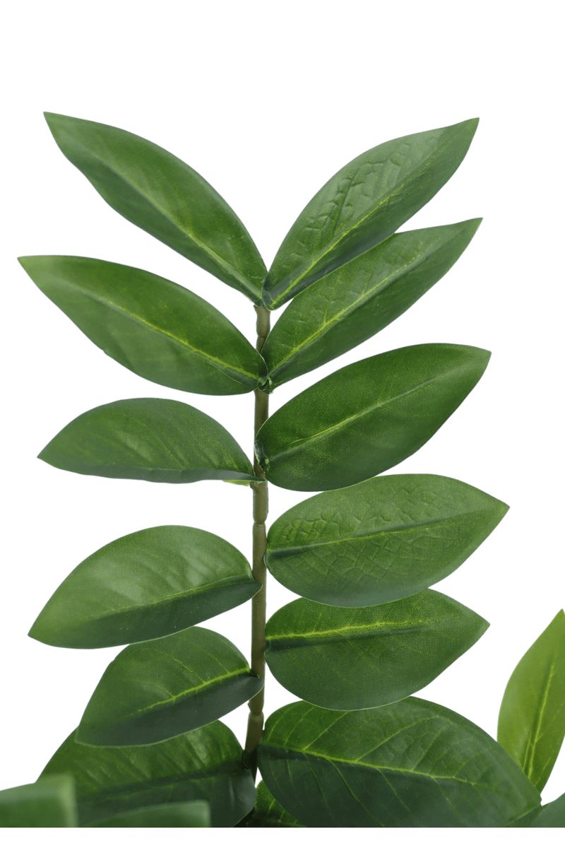bladeren Zamioculcas Kunstplant 75cm