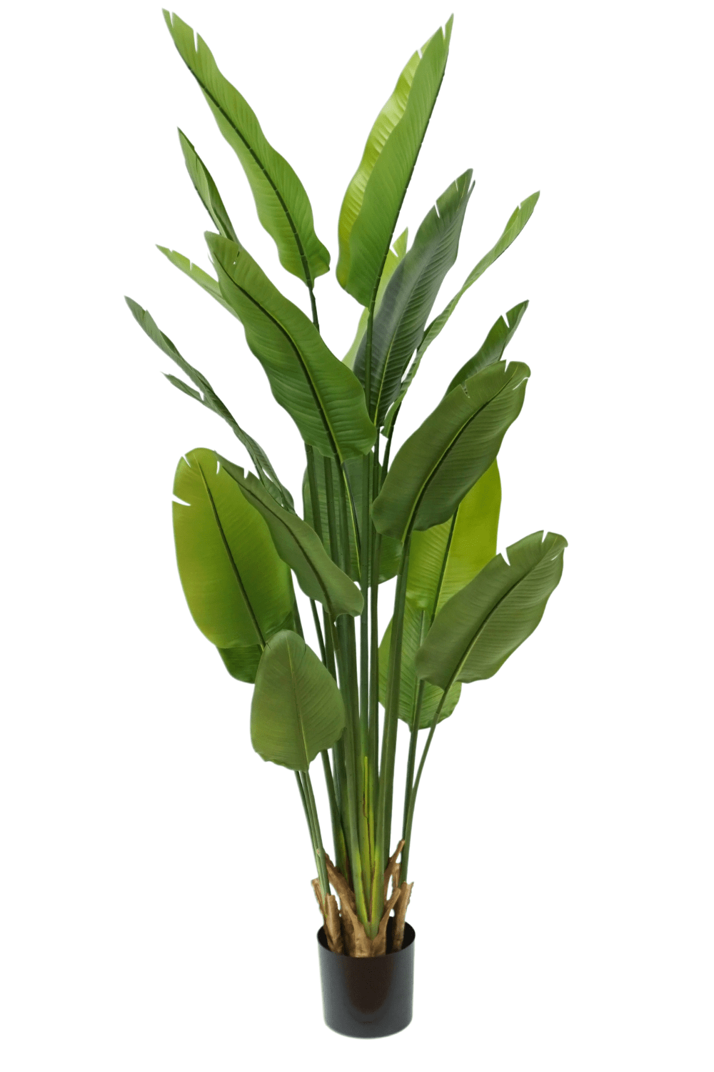 Strelitzia Kunstplant 2 180cm