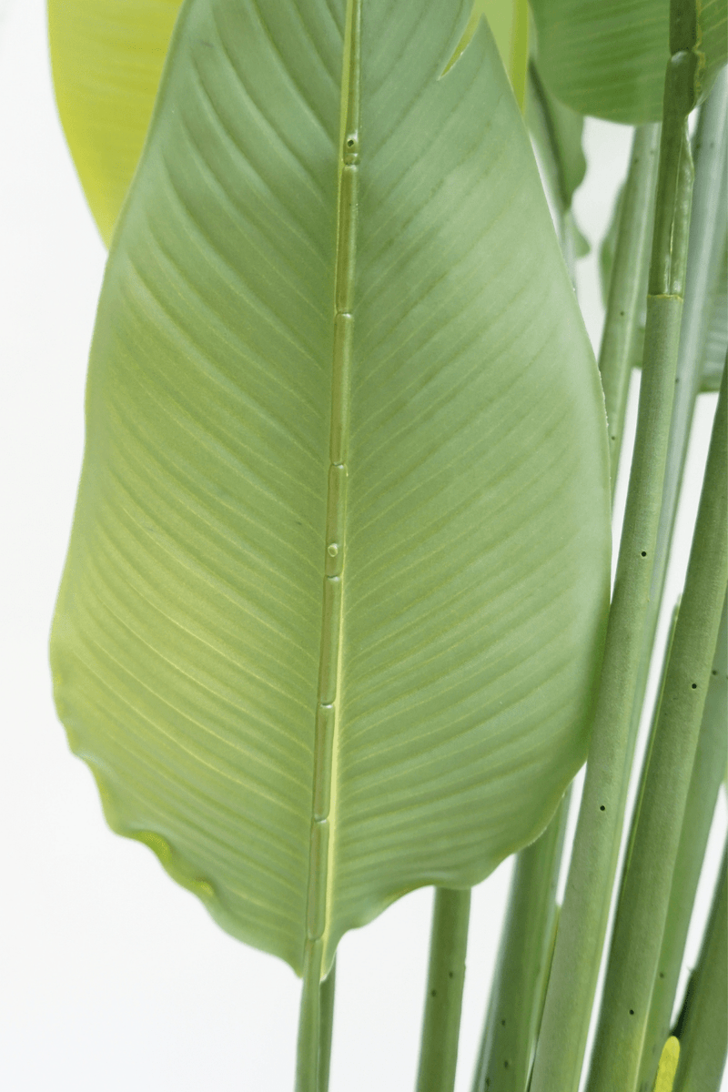 achterzijde blad Strelitzia Kunstplant 2 180cm