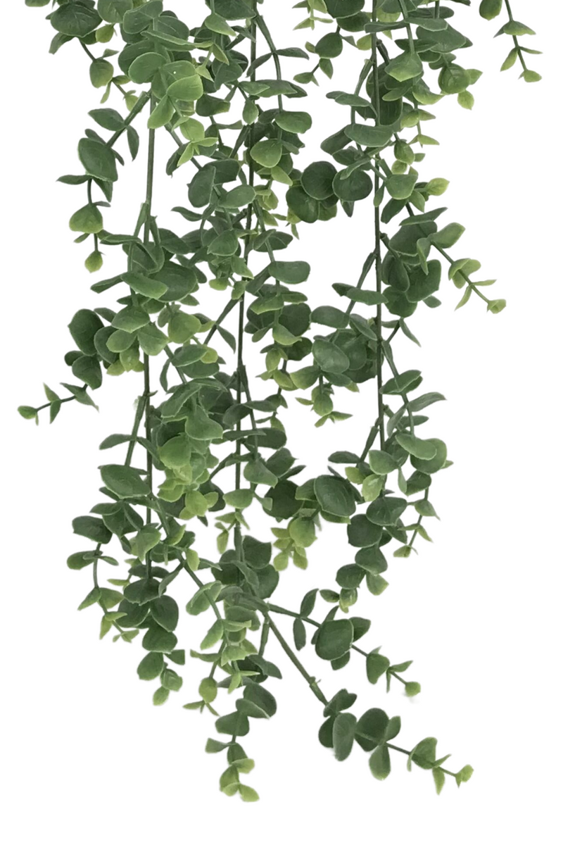 bladeren Eucalyptus Kunst Hangplant 60cm