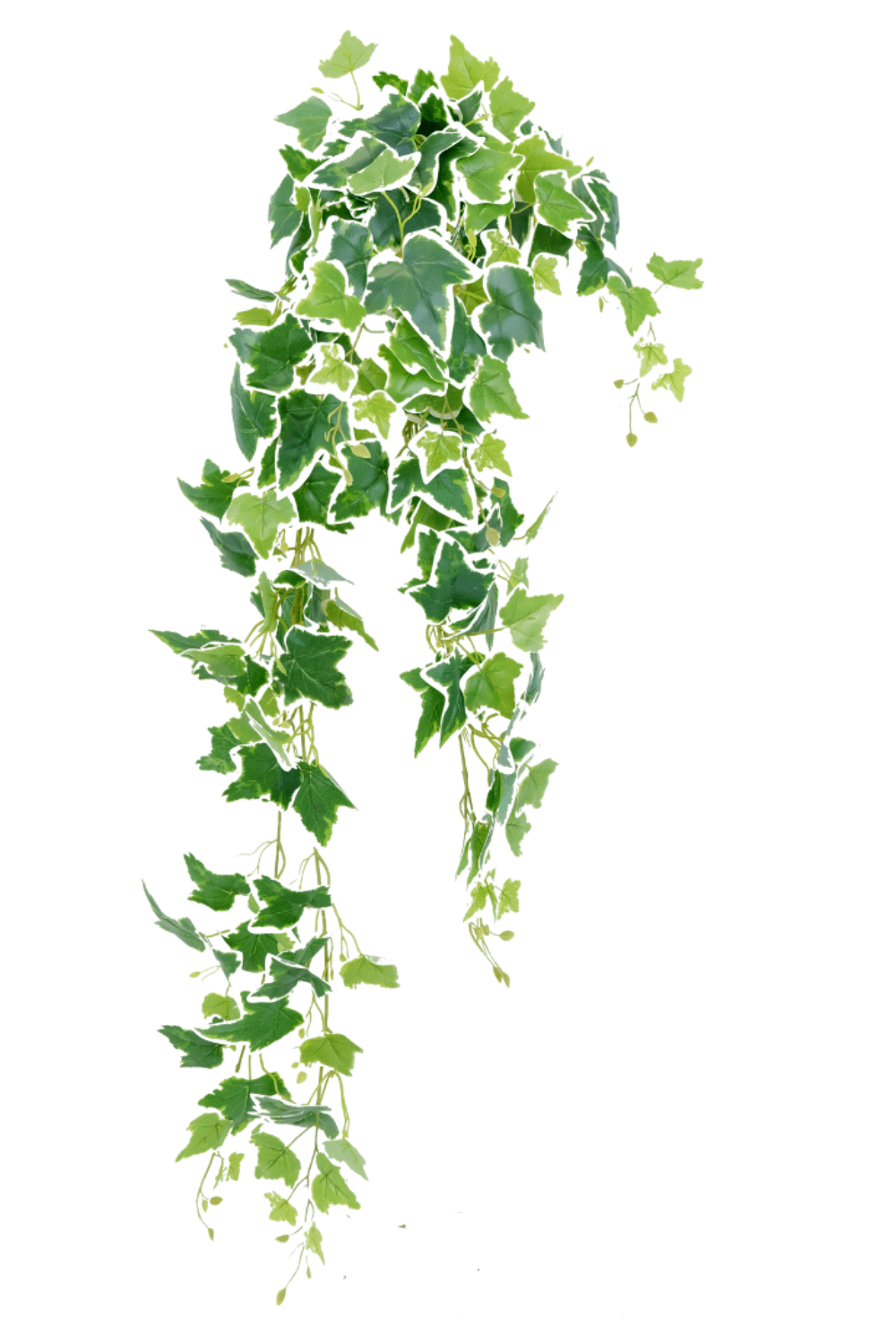 Hedera Star Kunst Hangplant 110cm