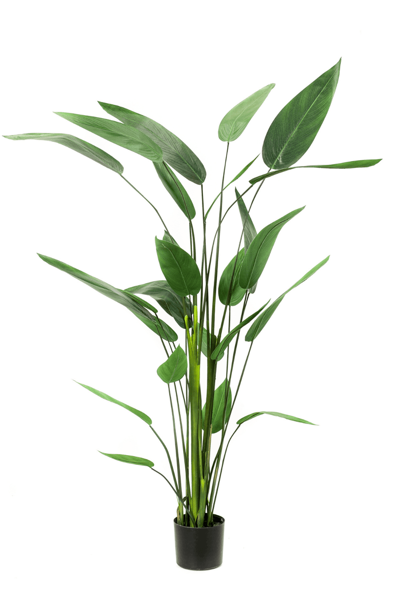 Heliconia Kunstplant 175cm