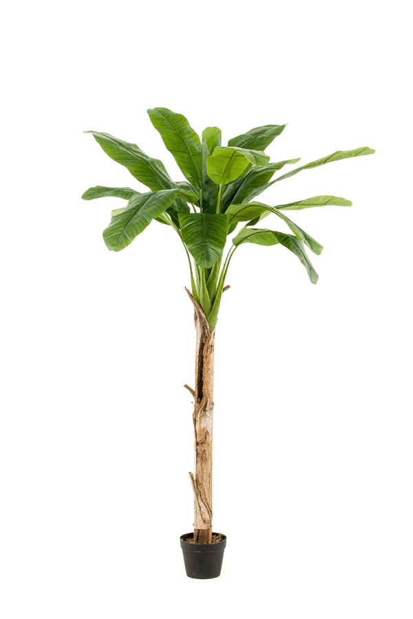 Kunst Bananenplant 180cm