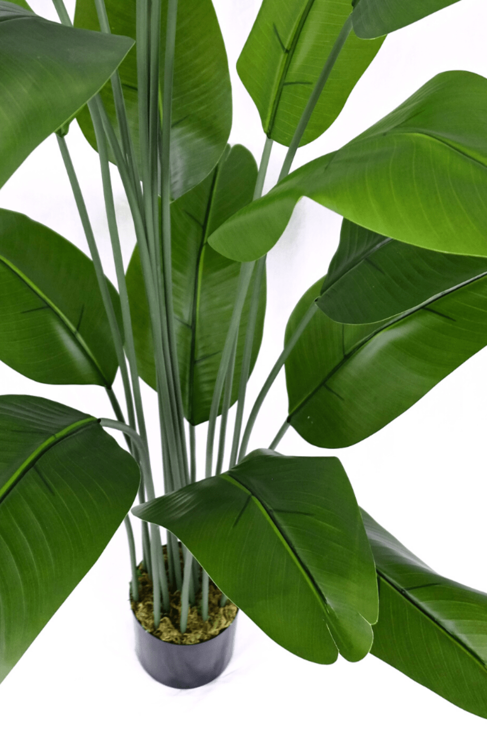 bovenaanzicht Kunst Bananenplant Serie A 210cm