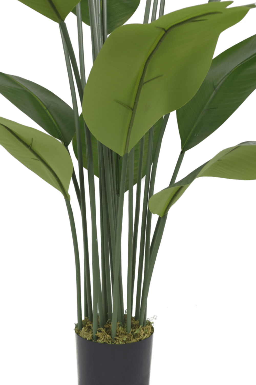 stam Kunst Bananenplant Serie A 210cm