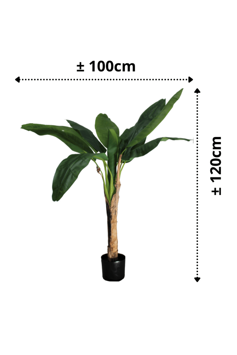 afmetingen Kunst Bananenplant Serie B 120cm