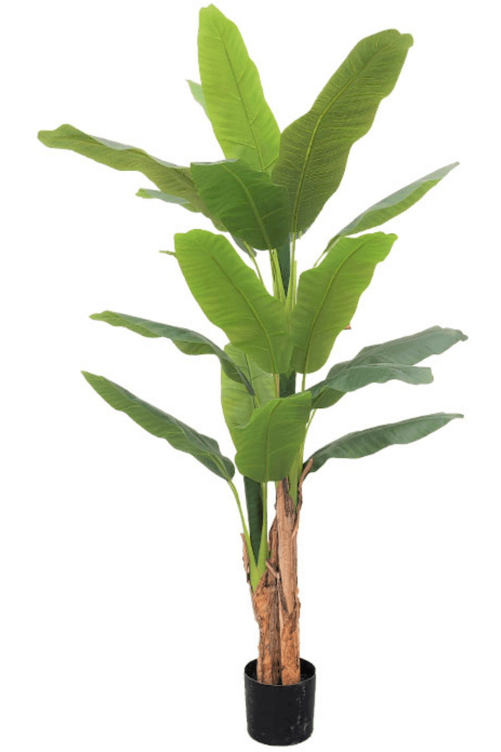 Kunst Bananenplant Serie B 180cm