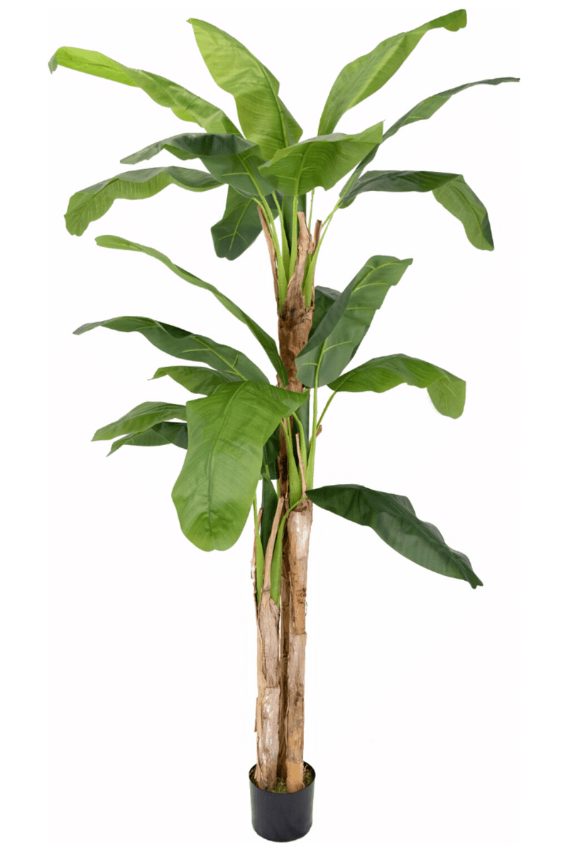 Kunst Bananenplant Serie B 210cm