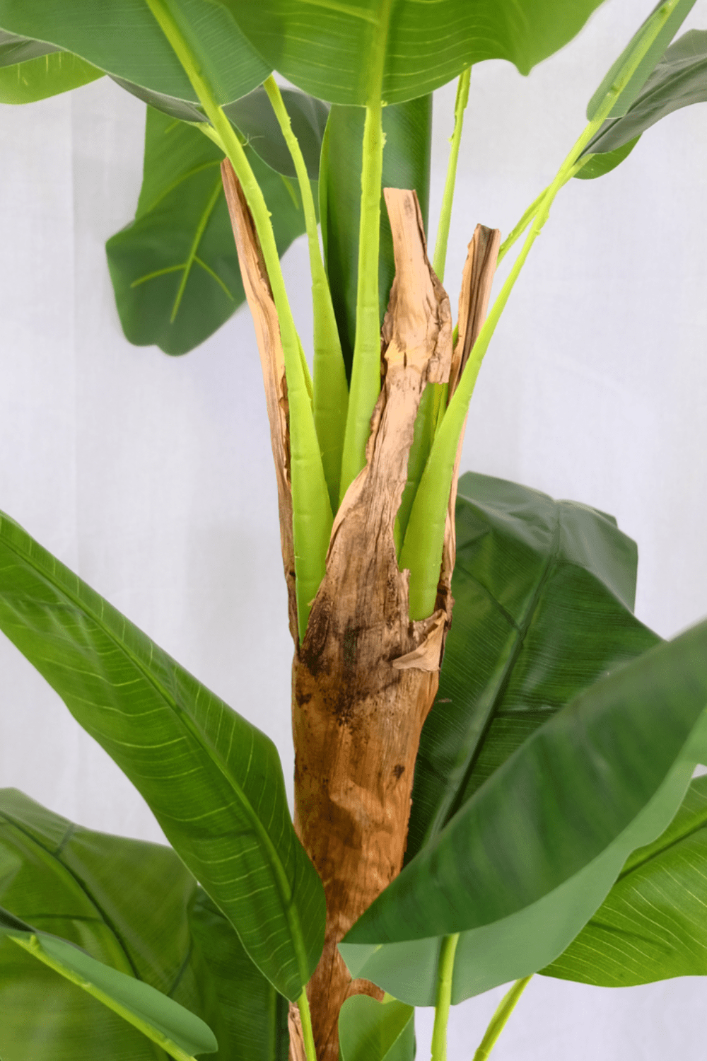 stam Kunst Bananenplant Serie B 210cm