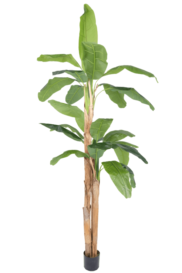 Kunst Bananenplant Serie B 240cm