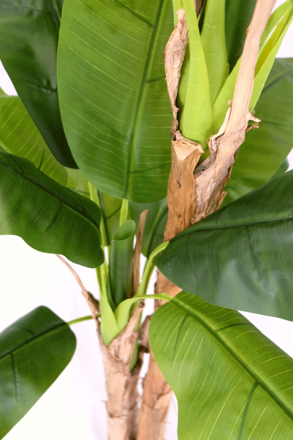 bovenaanzicht Kunst Bananenplant Serie B 240cm