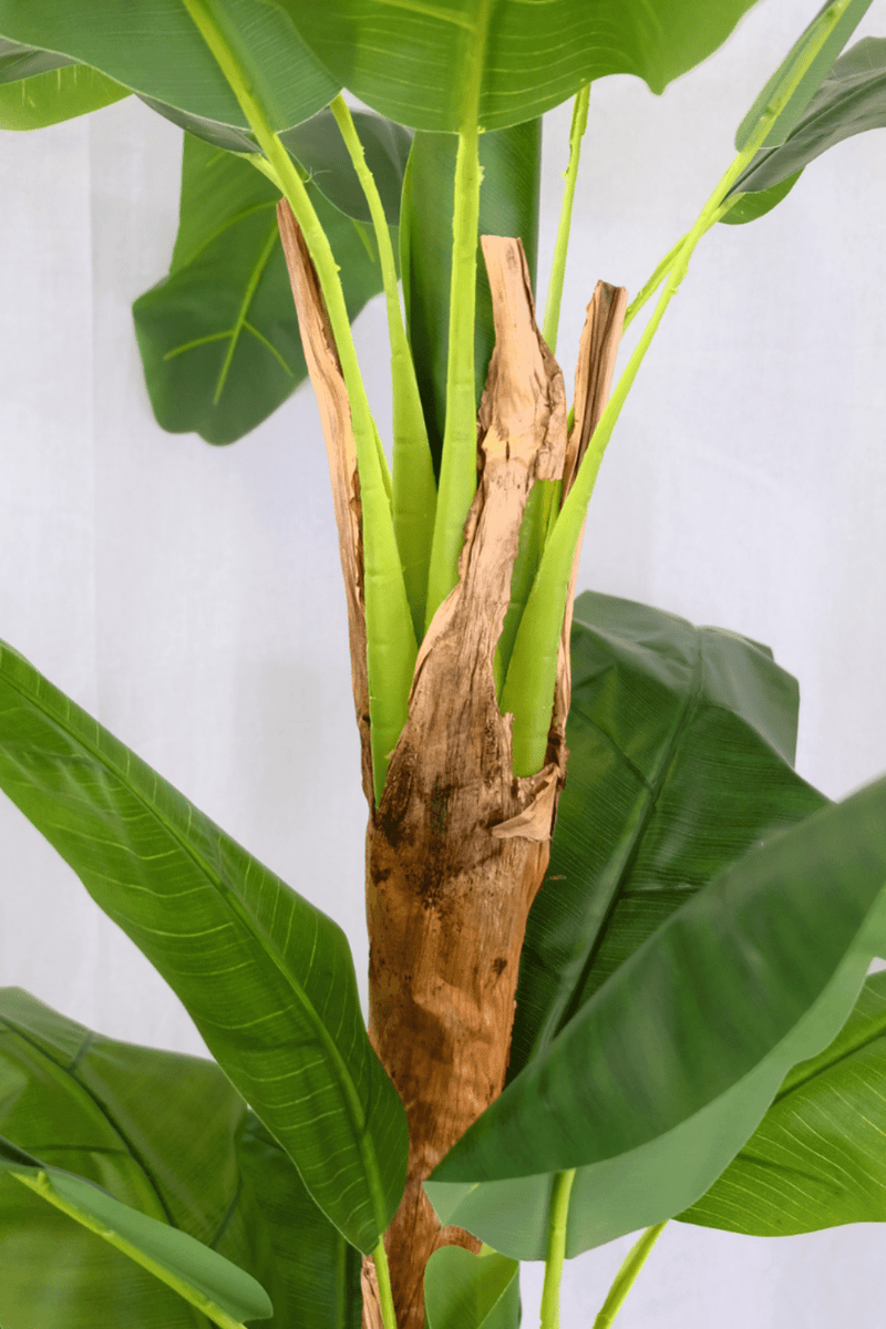 stam Kunst Bananenplant Serie B 240cm