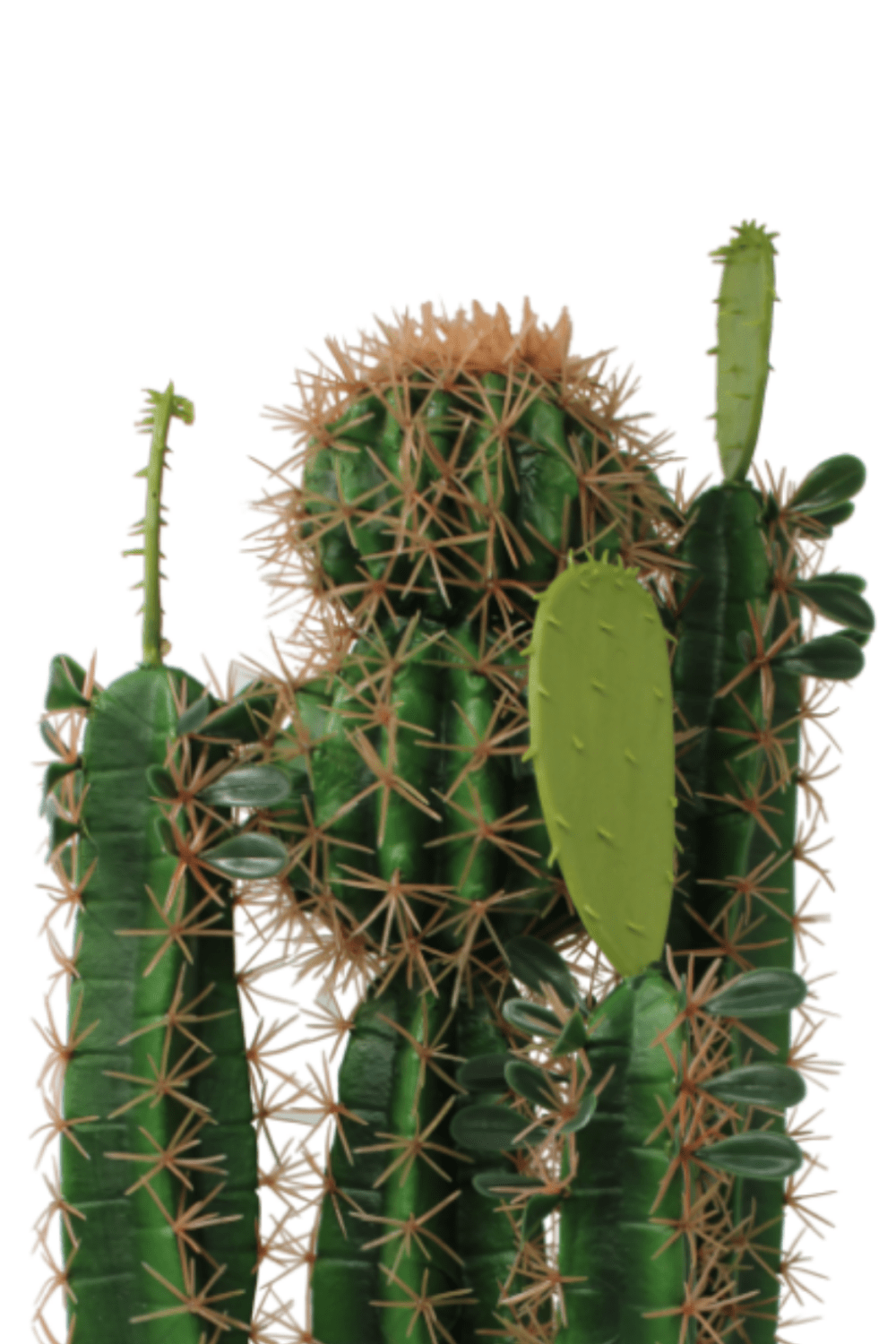 bovenkant Kunst Cactus 70cm