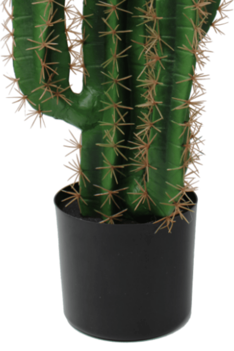 onderzijde Kunst Cactus 70cm