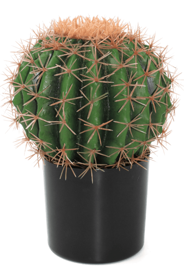 Kunst Cactus ∅20cm