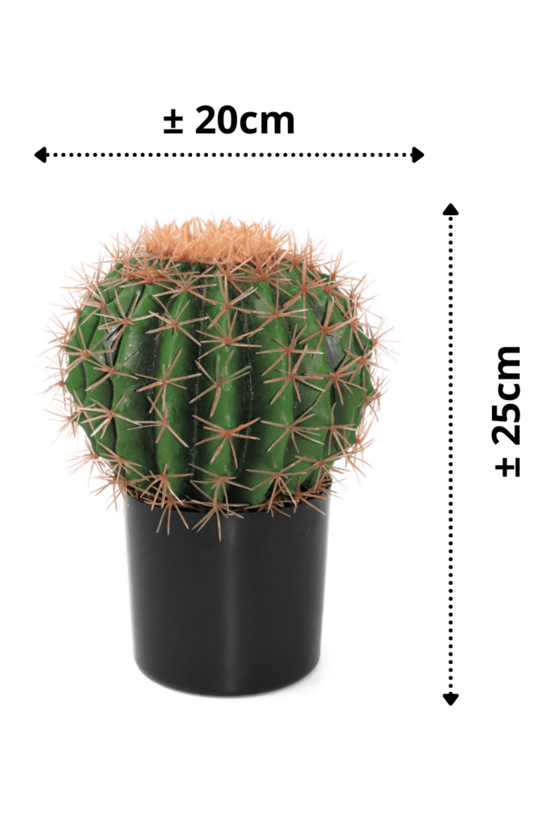 afmetingen Kunst Cactus ∅20cm