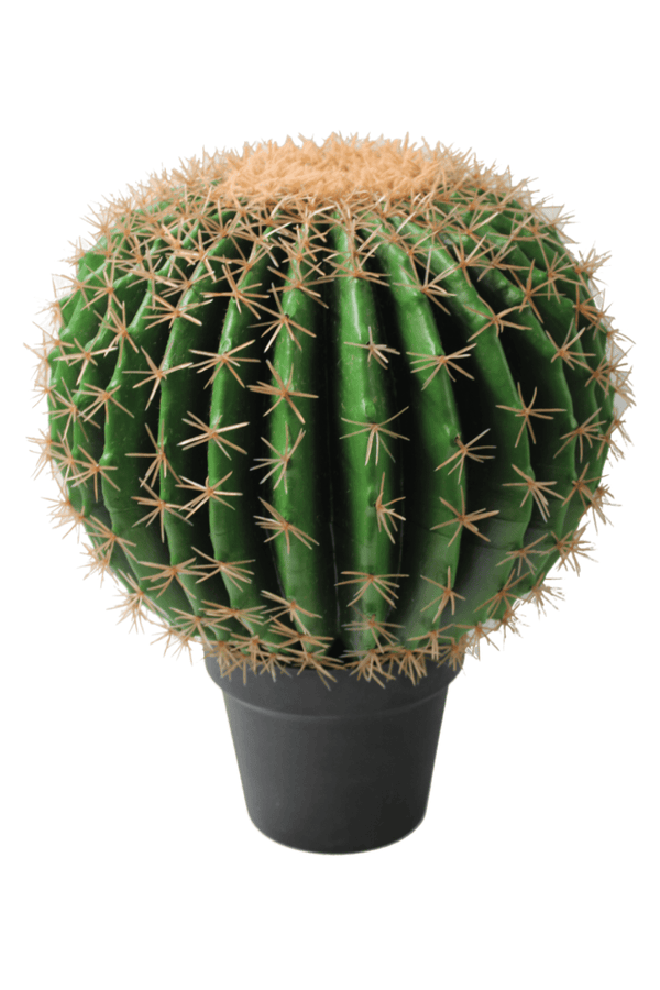 Kunst Cactus ∅35cm