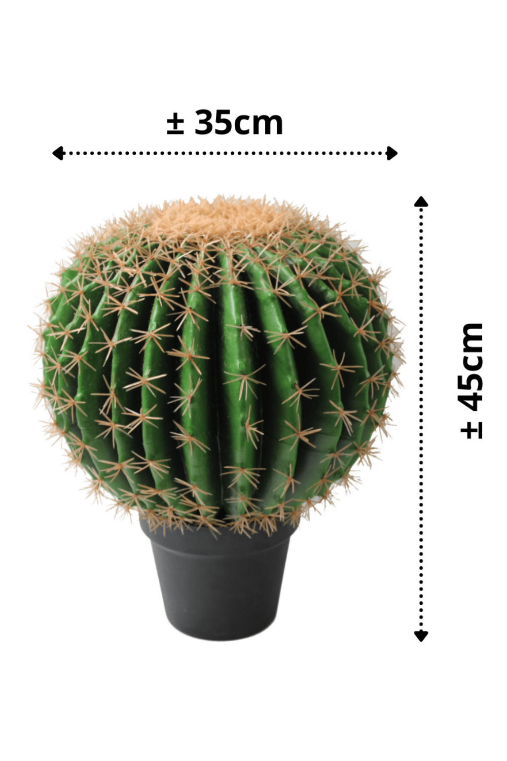 afmetingen Kunst Cactus ∅35cm