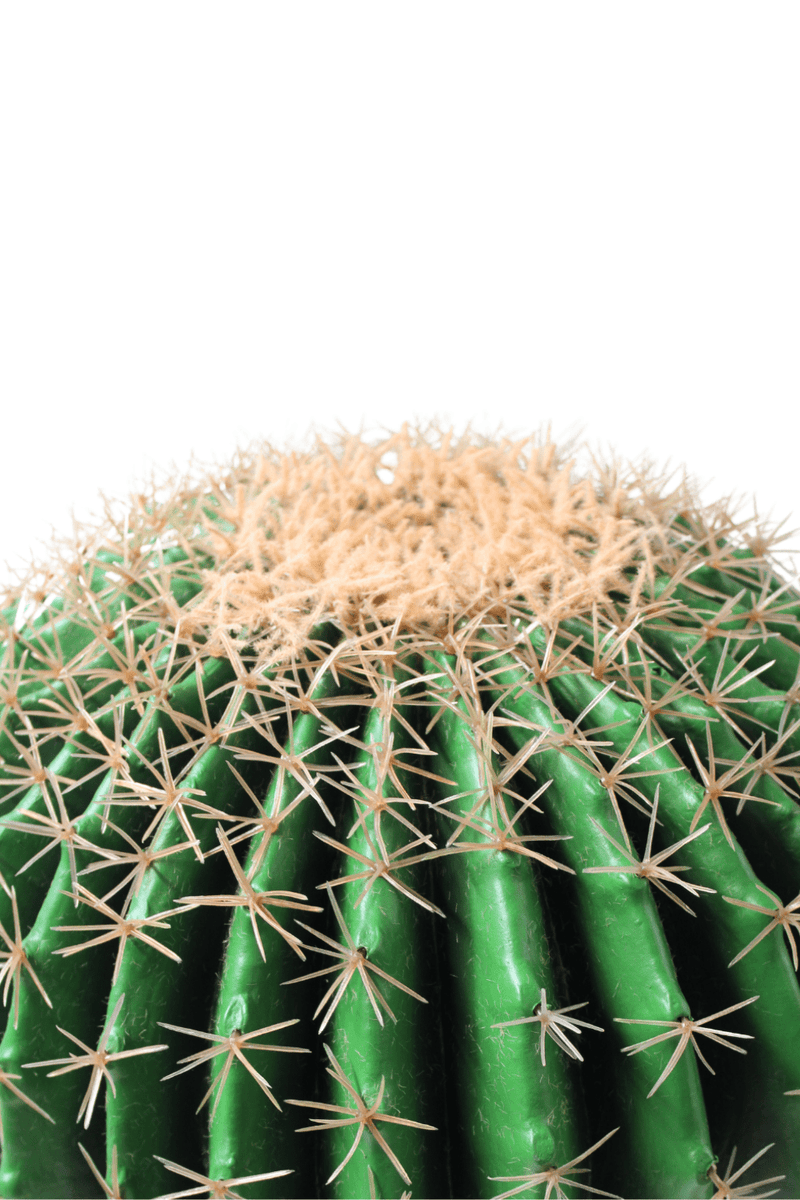 bovenkant Kunst Cactus ∅35cm