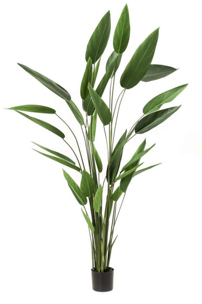 Heliconia Kunstplant 220cm