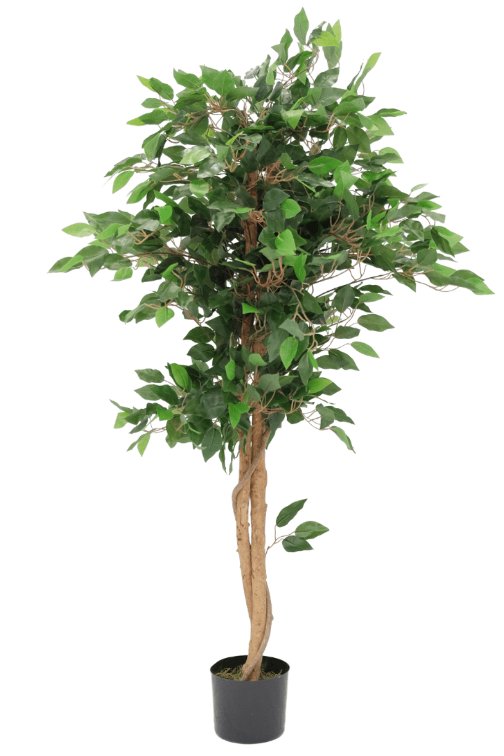 Kunst Ficus 130cm