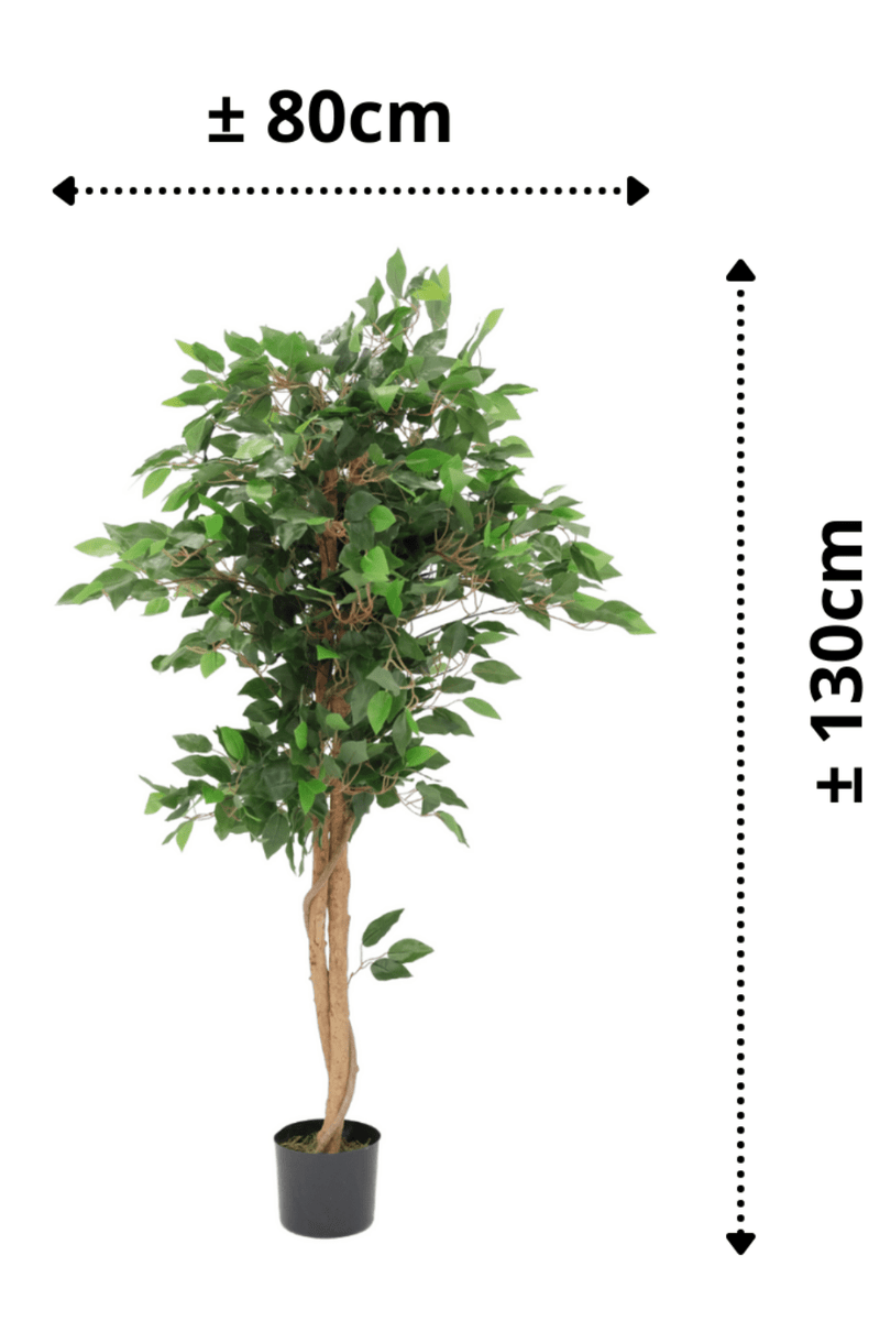 afmetingen Kunst Ficus 130cm