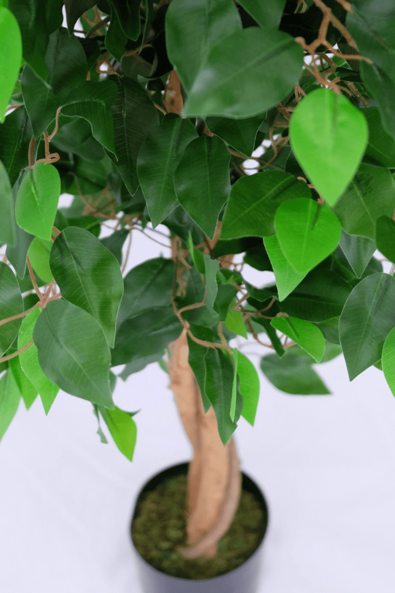 bladeren Kunst Ficus 130cm