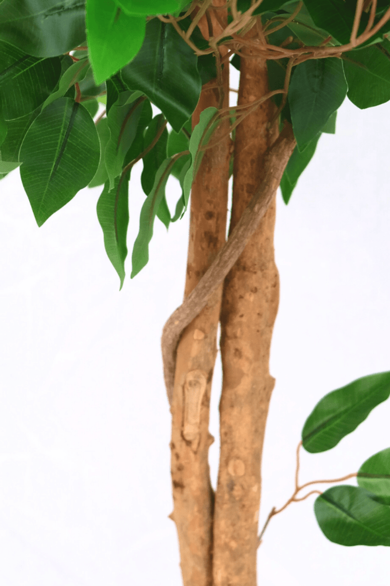stam Kunst Ficus 130cm