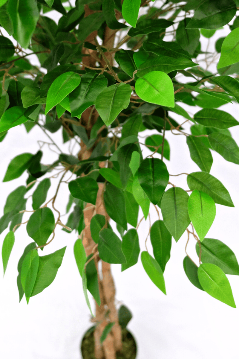 bladeren Kunst Ficus 150cm