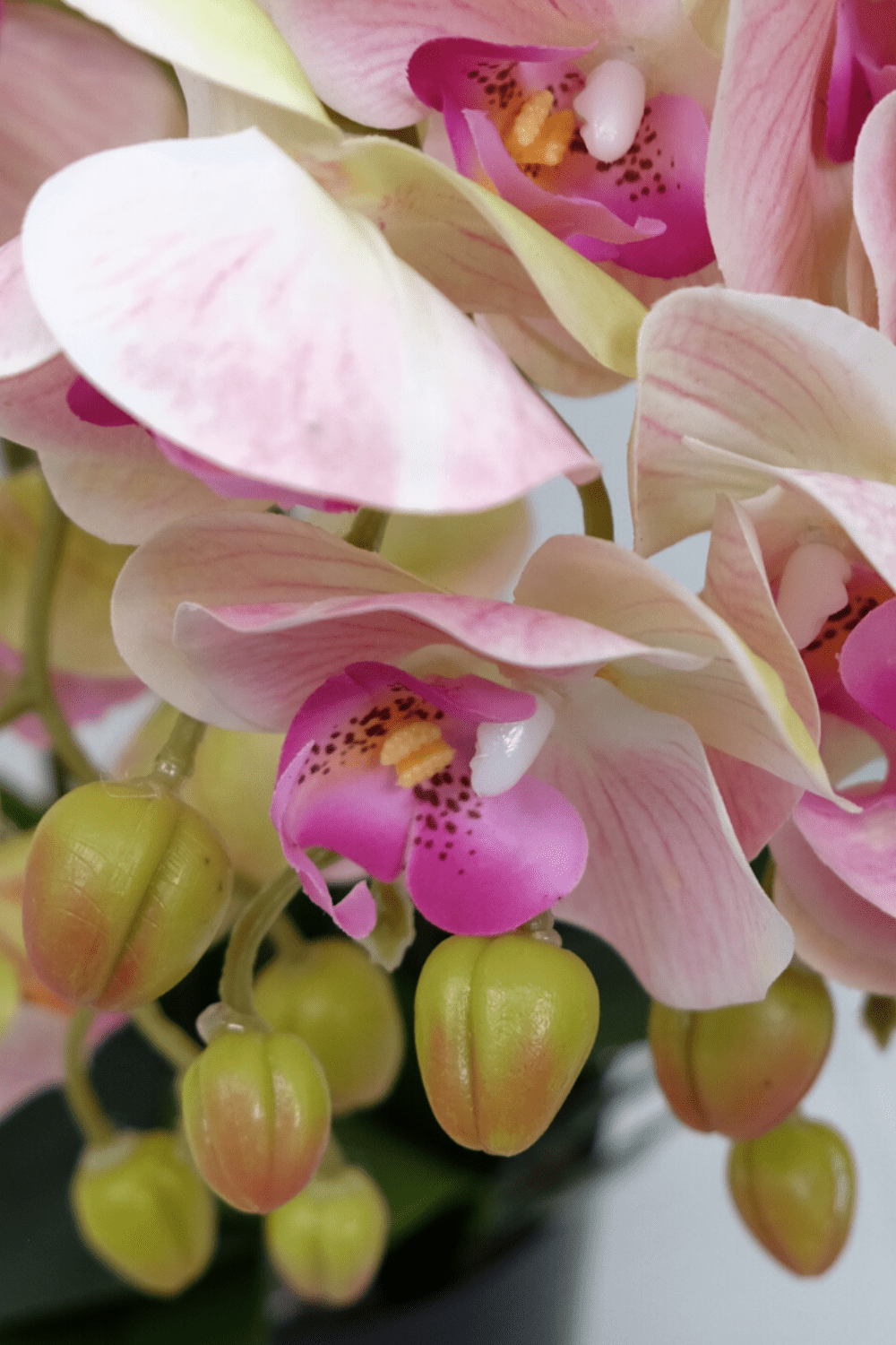 bloem Kunst Orchidee Lichtroze 70cm