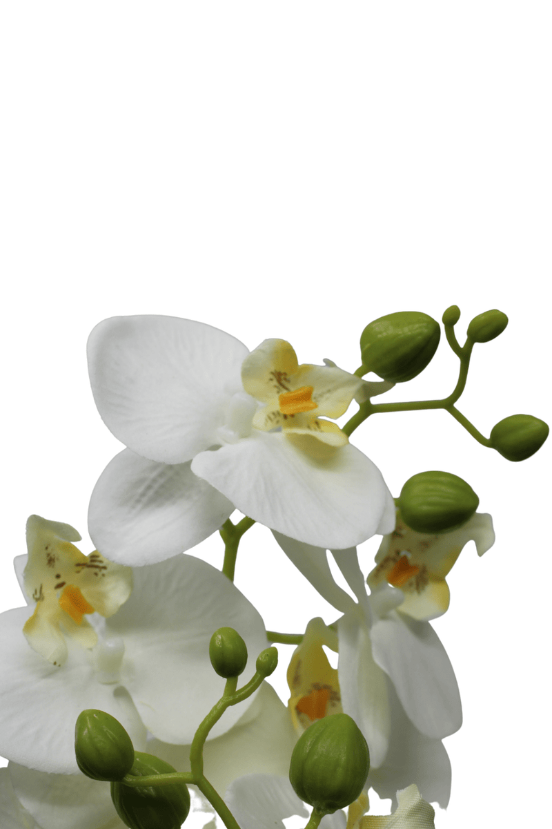 bloem Kunst Orchidee Wit 48cm