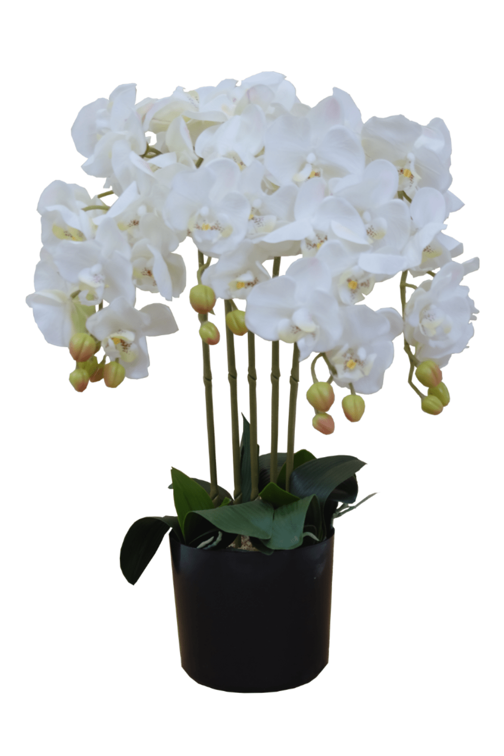 Kunst Orchidee Wit 70 cm