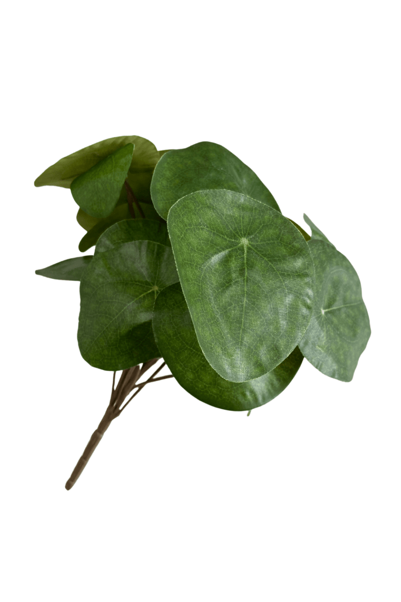 Kunst Pannekoekenplant 25cm