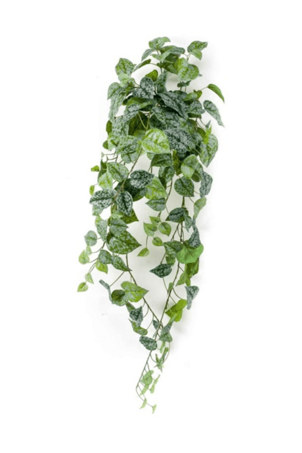 Scindapsus Pictus Kunst Hangplant 90cm