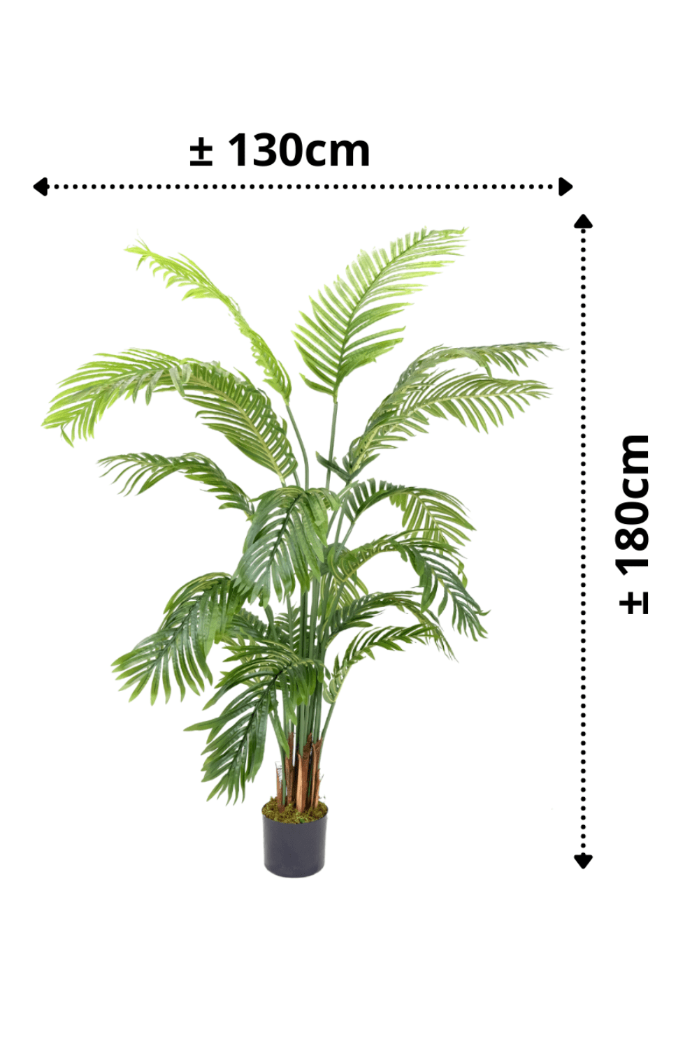 afmetingen Kunstpalm 2 180cm