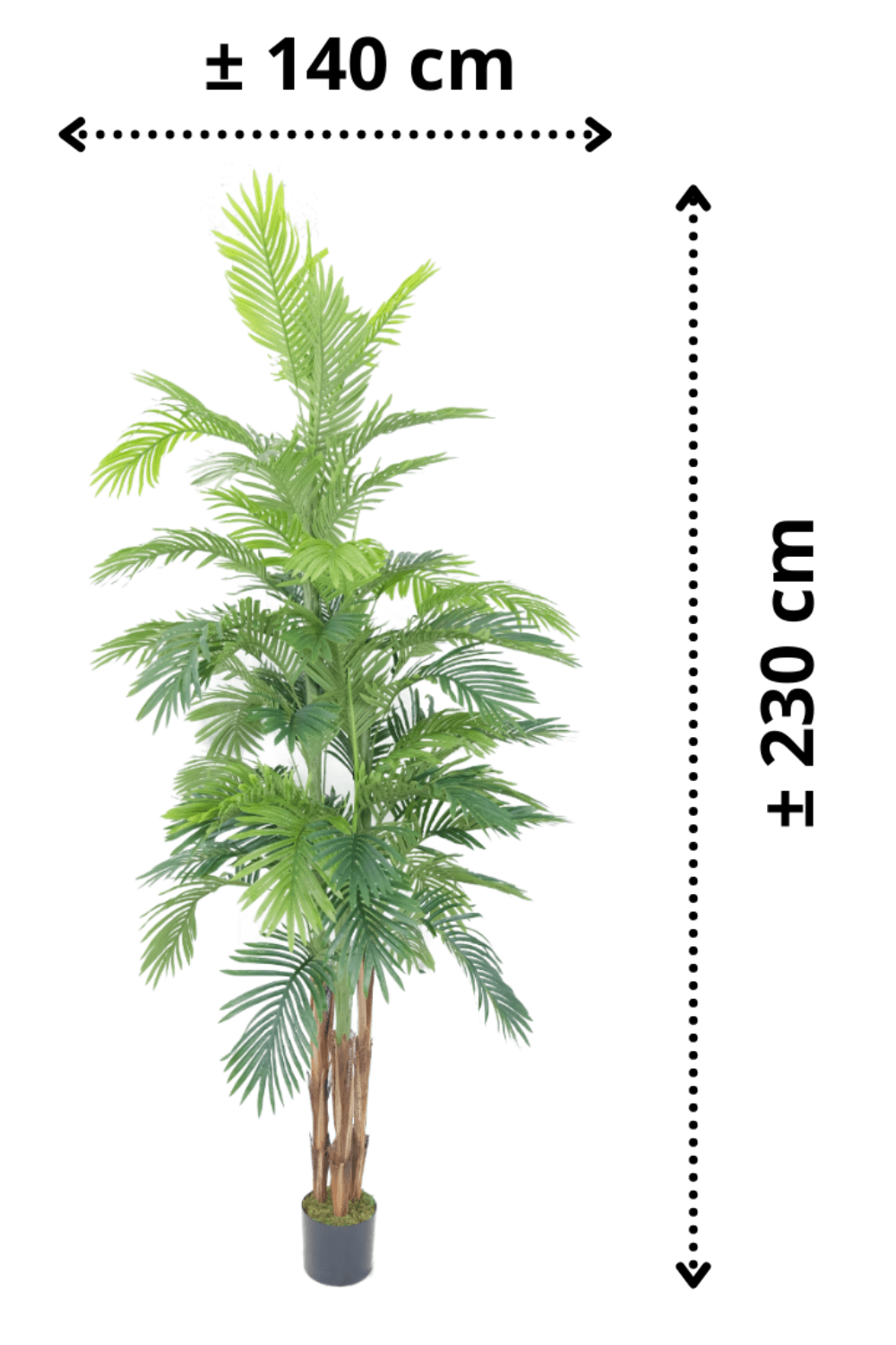 afmetingen Kunstpalm 230cm