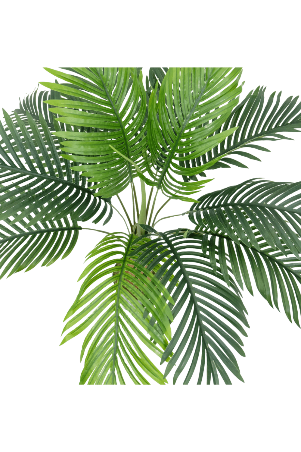 bovenaanzicht Kunstpalm Dikke stam 80cm