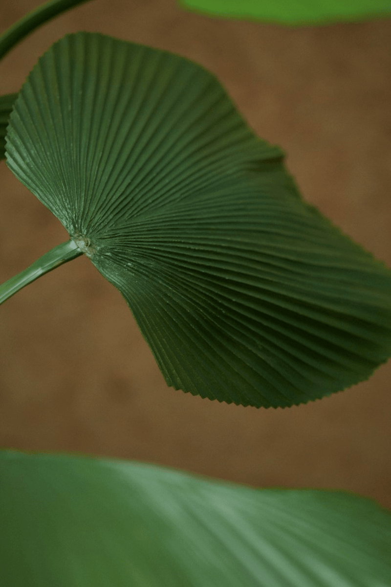 blad Kunstpalm Licuala 130cm