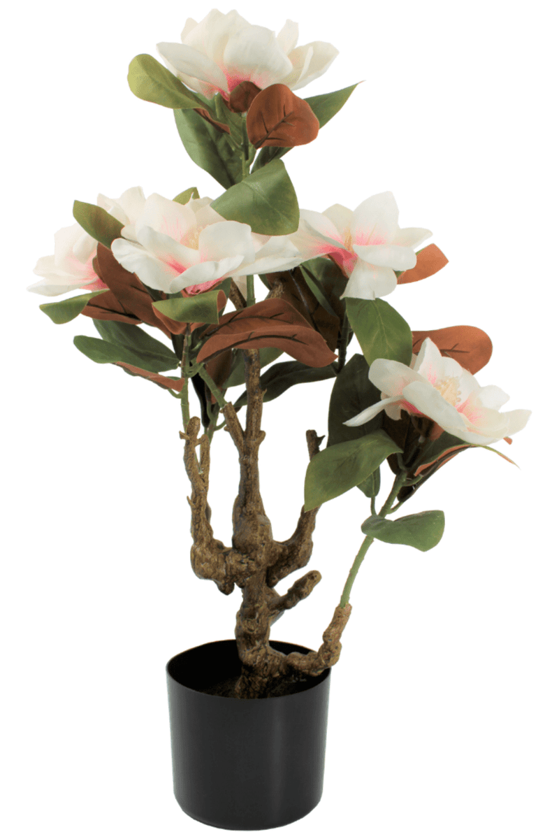 Magnolia Kunstplant 70cm