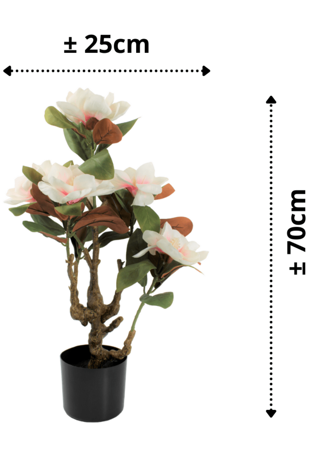 afmetingen Magnolia Kunstplant 70cm
