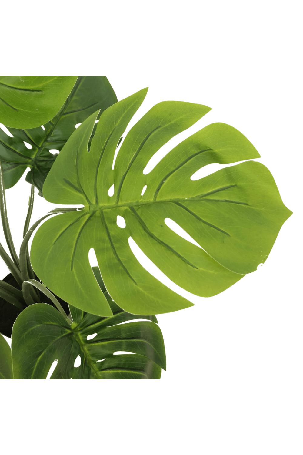 blad Monstera Kunstplant 60cm