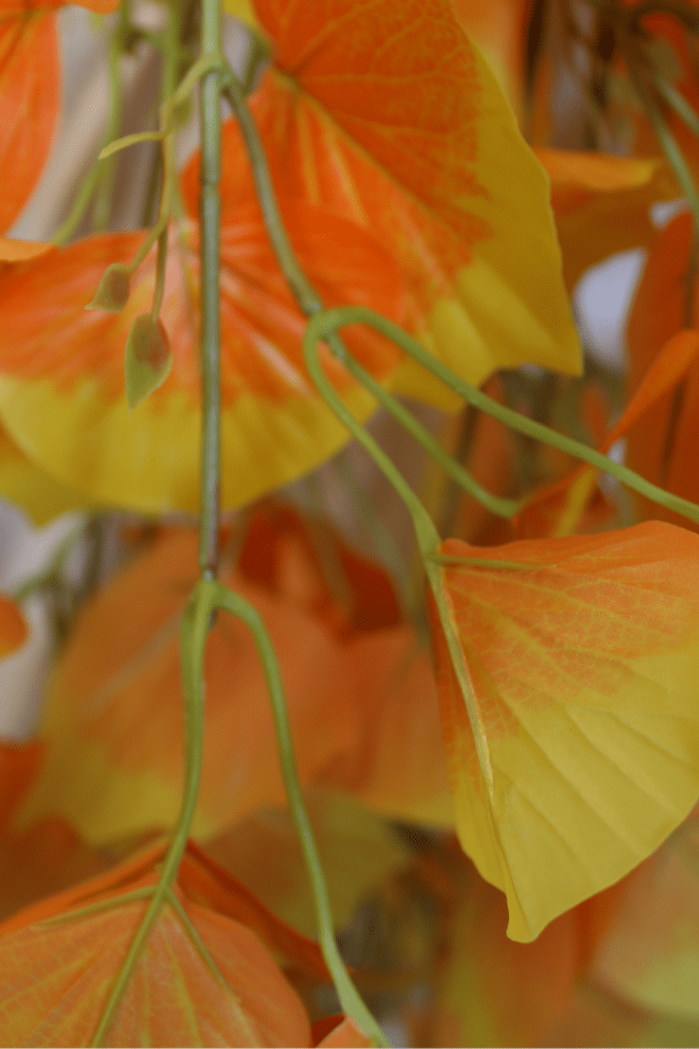 blad en wortels Oranje Kunst Hangplant