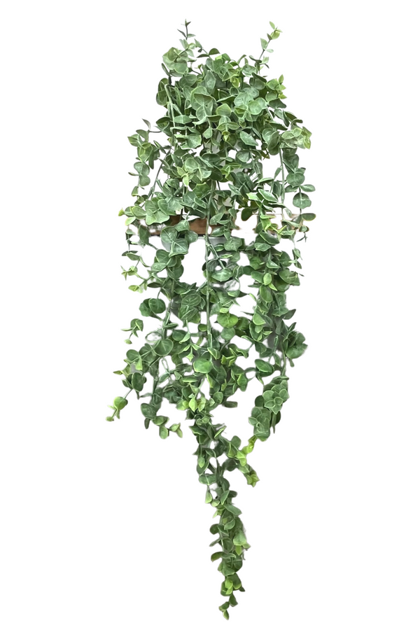 Eucalyptus Kunst Hangplant 60cm