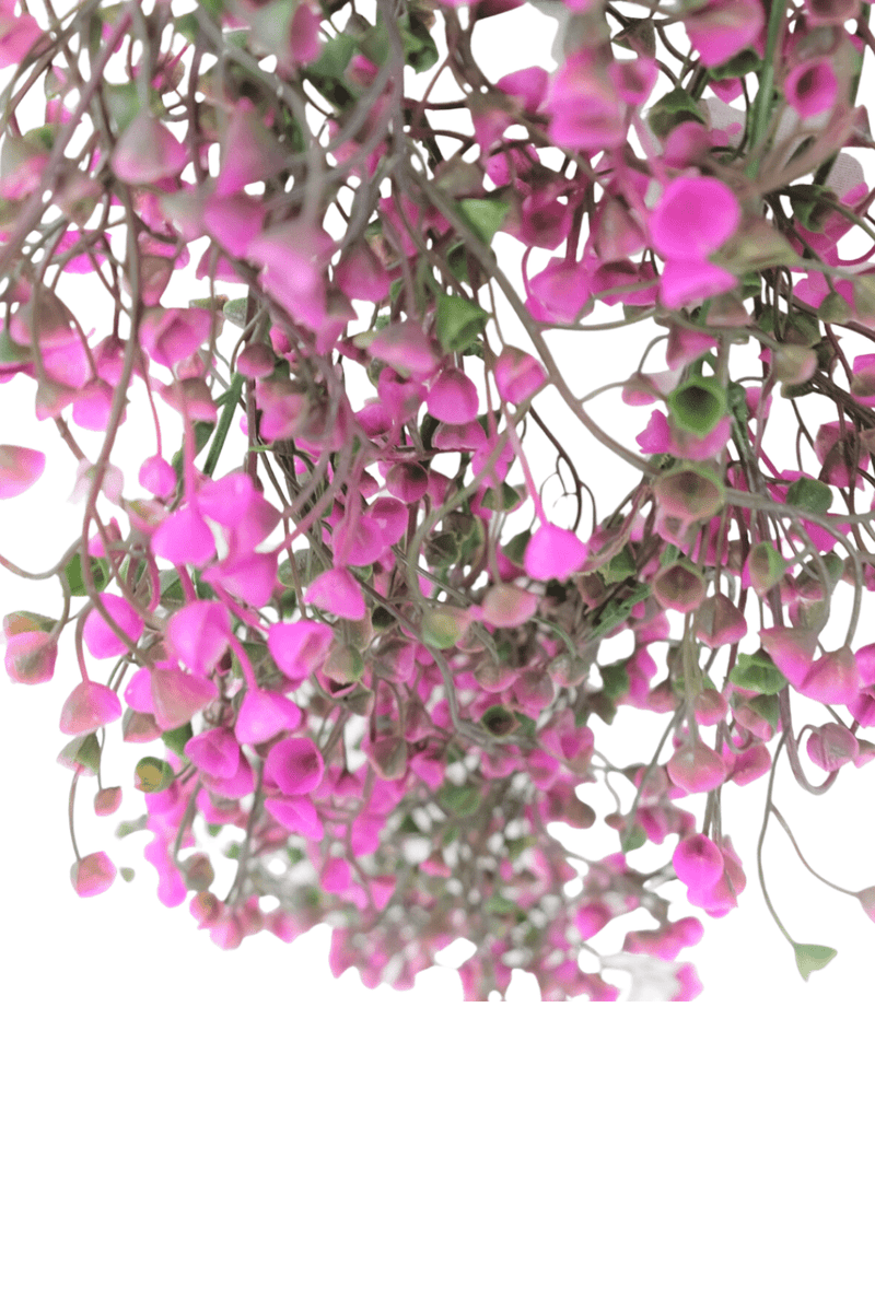 bladeren Roze Kunst Hangplant