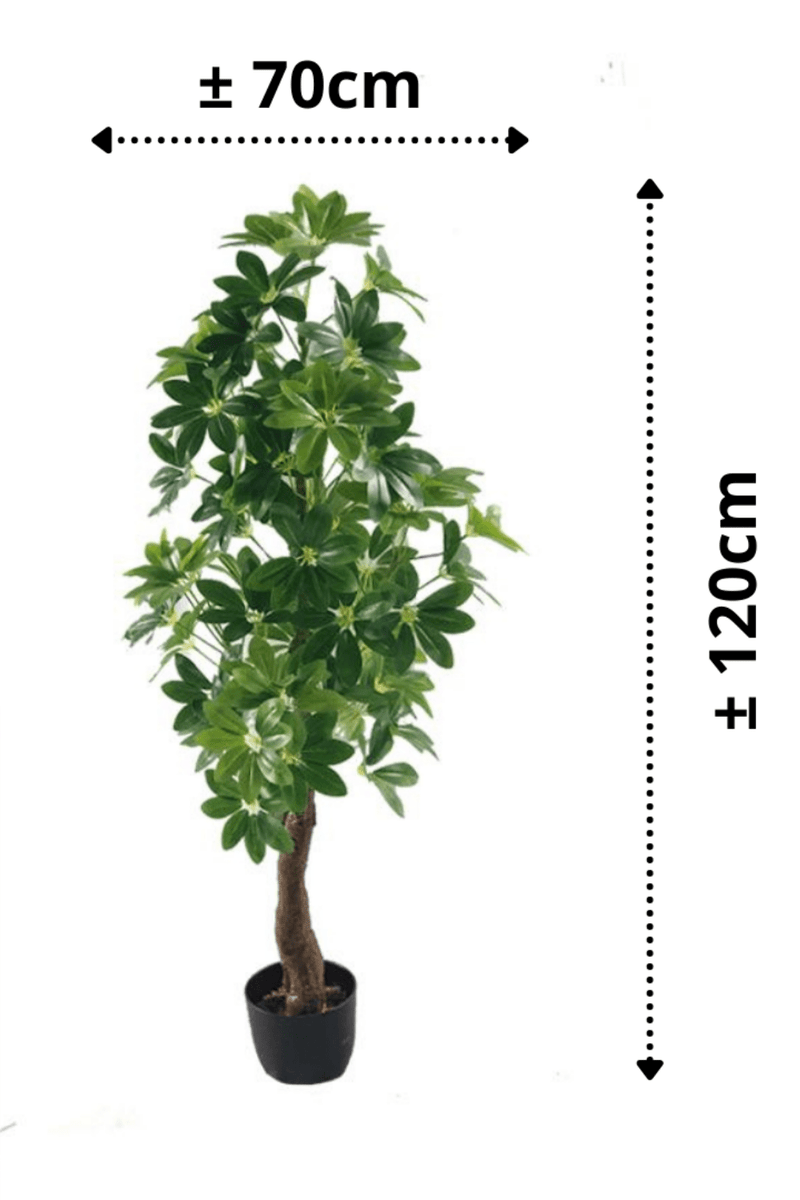 afmetingen Schefflera Arboricola Kunstplant 120cm